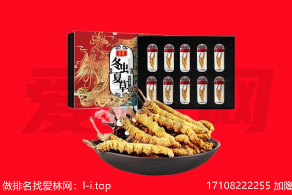 云溪区回收虫草.jpg